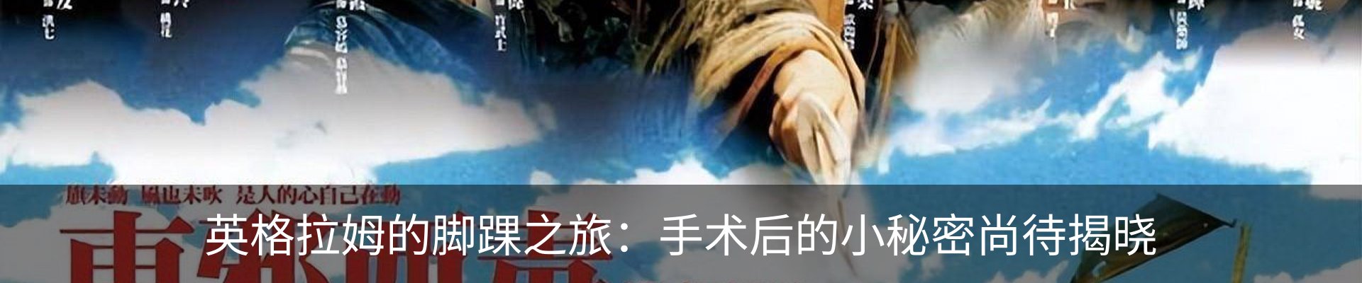 新闻动态