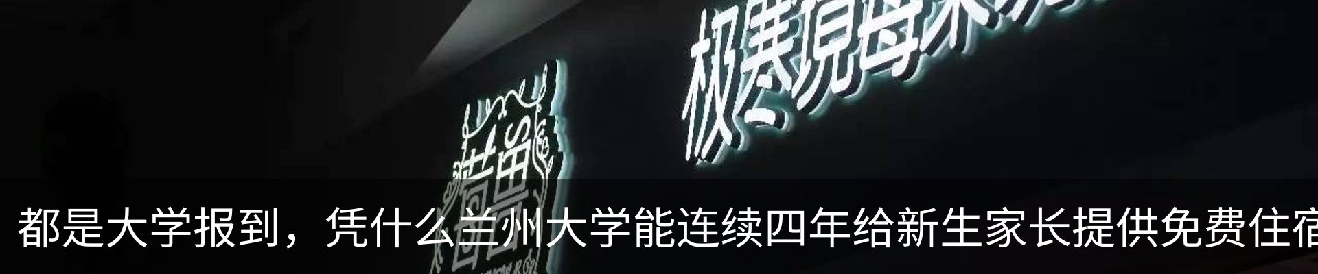 新闻动态