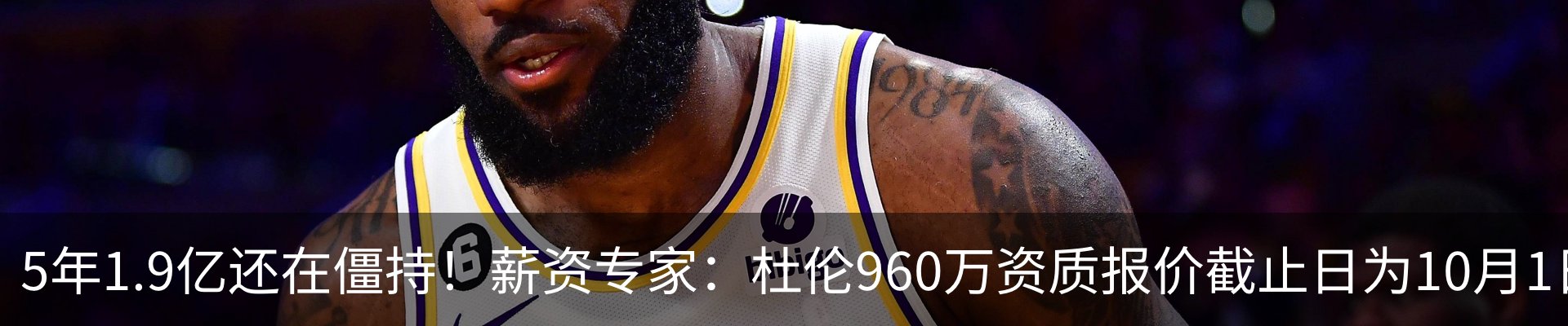 新闻动态
